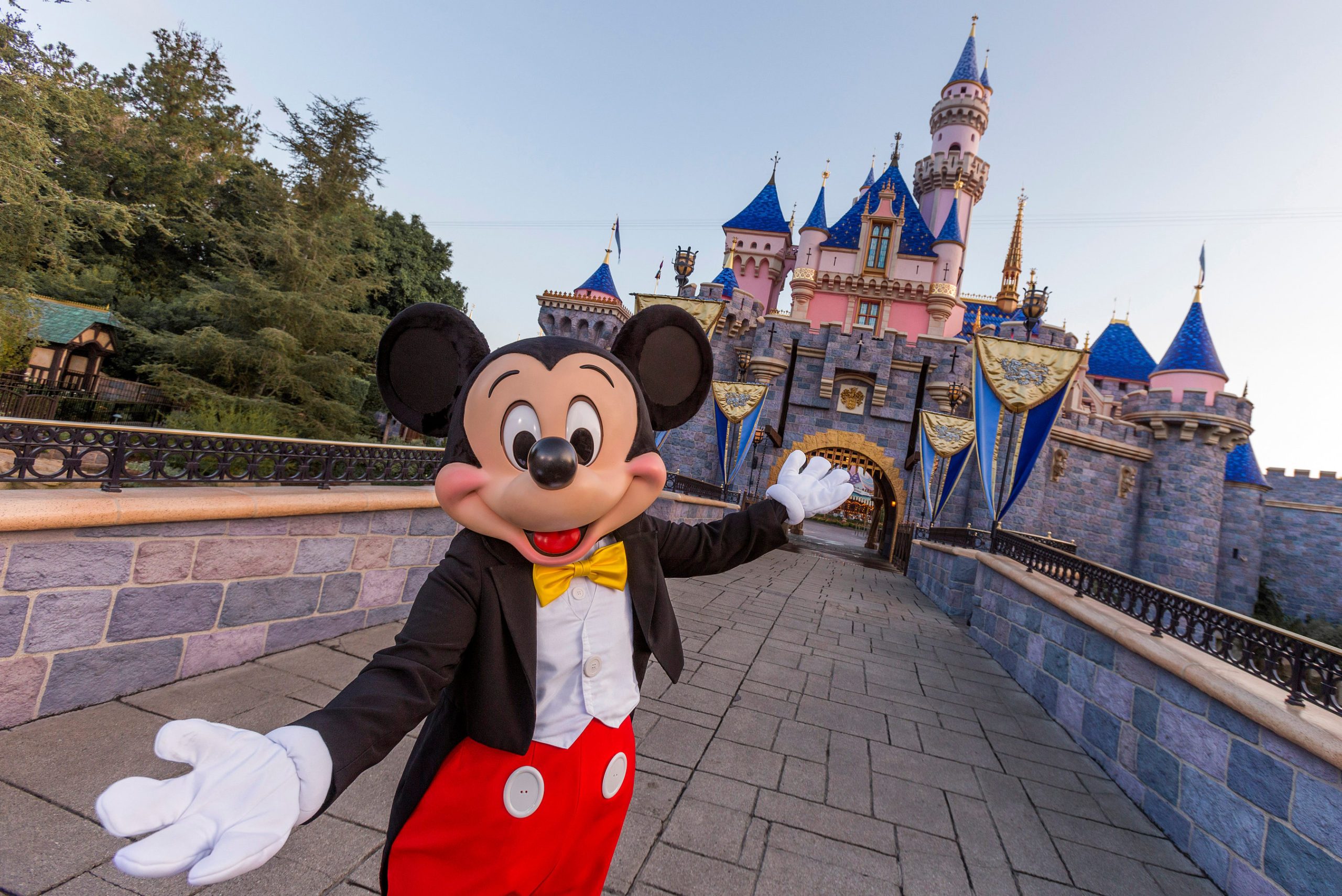 Disneyland with Mickey