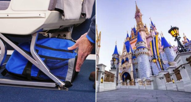 Carry-on bag with Cinderella Castle feature