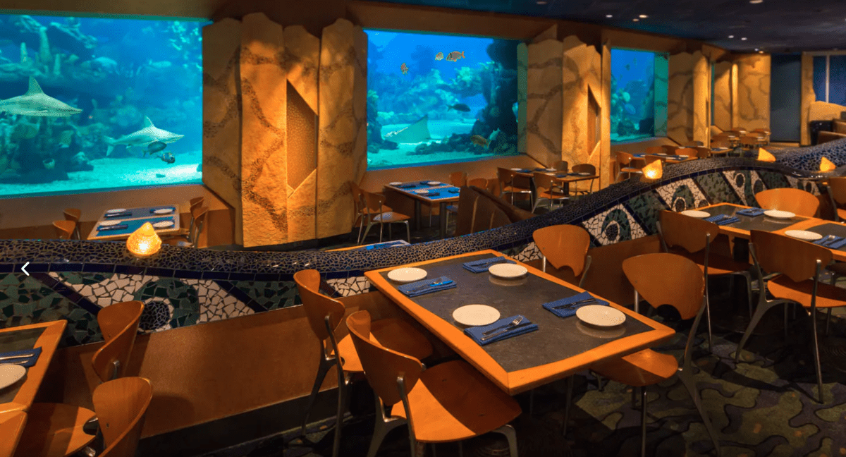Coral Reef Restaurant Shark