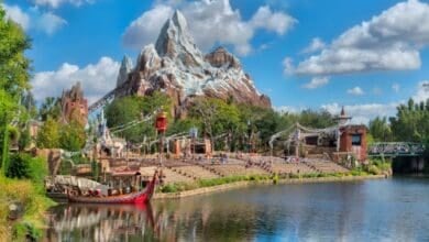 Expedition Everest at Disney World.